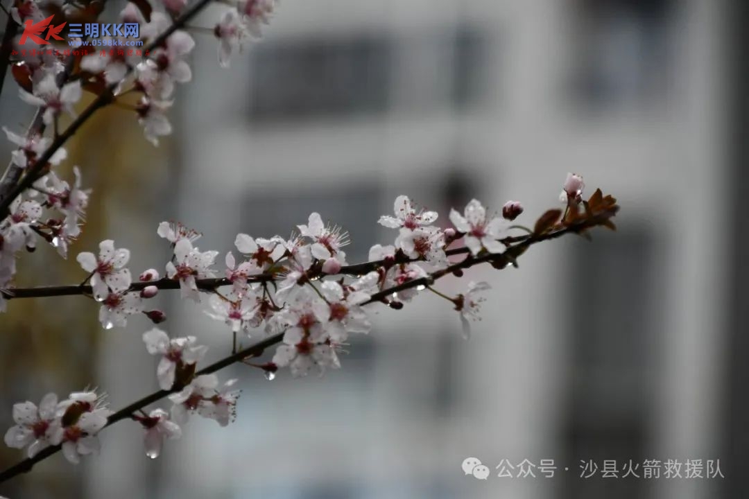 3bfde7b9e1cfb4b33d1a8805976ab2a2.jpg