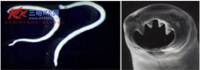 ΢Žͼ_20250506154057.png